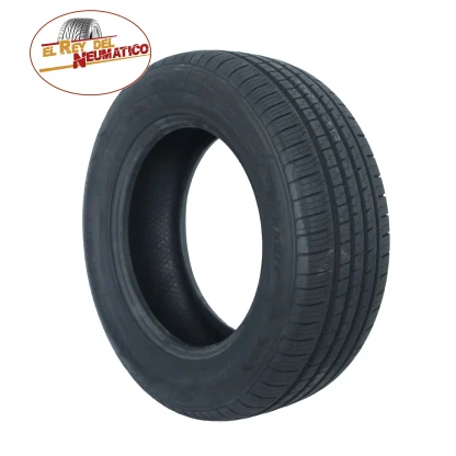225/55R16 DURABLE SPORT 95V