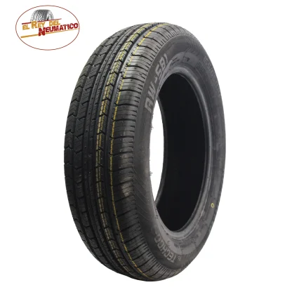 195/55R16 ROADWING RW-581 91V